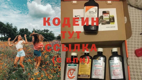 индика Балабаново
