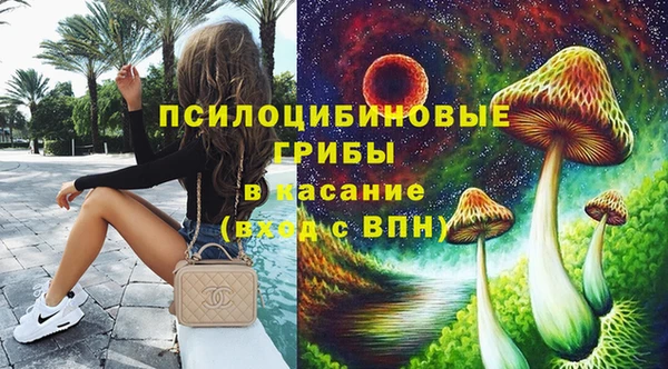 индика Балабаново